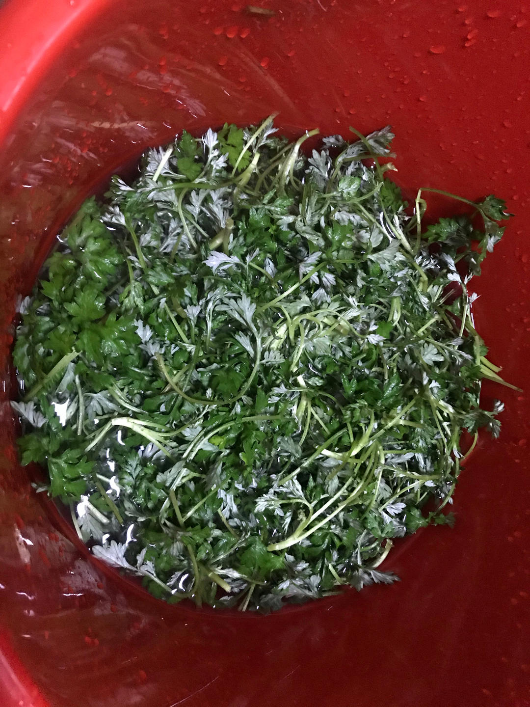 青团原料 | 艾草泥（汁）的做法