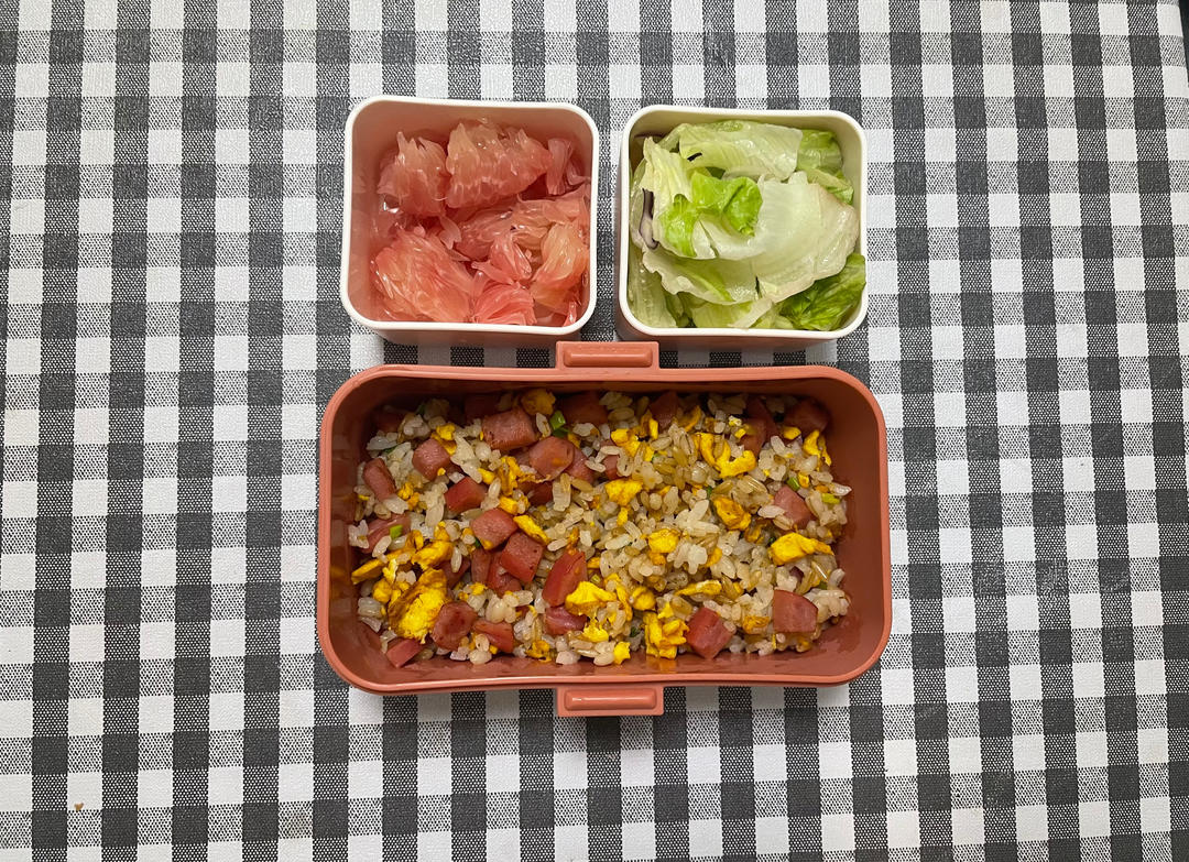 打工人快乐便当（佛系更新）