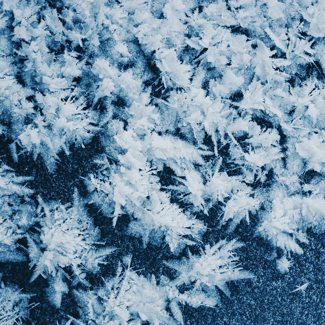 爱聊菜少做菜的宝