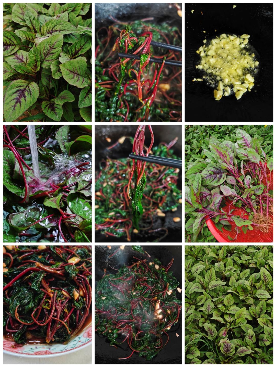 蒜香苋菜的做法