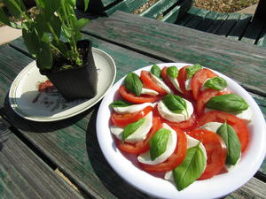 意式西红柿沙拉Caprese Salad - 黎昕的阳光厨房的做法 步骤3