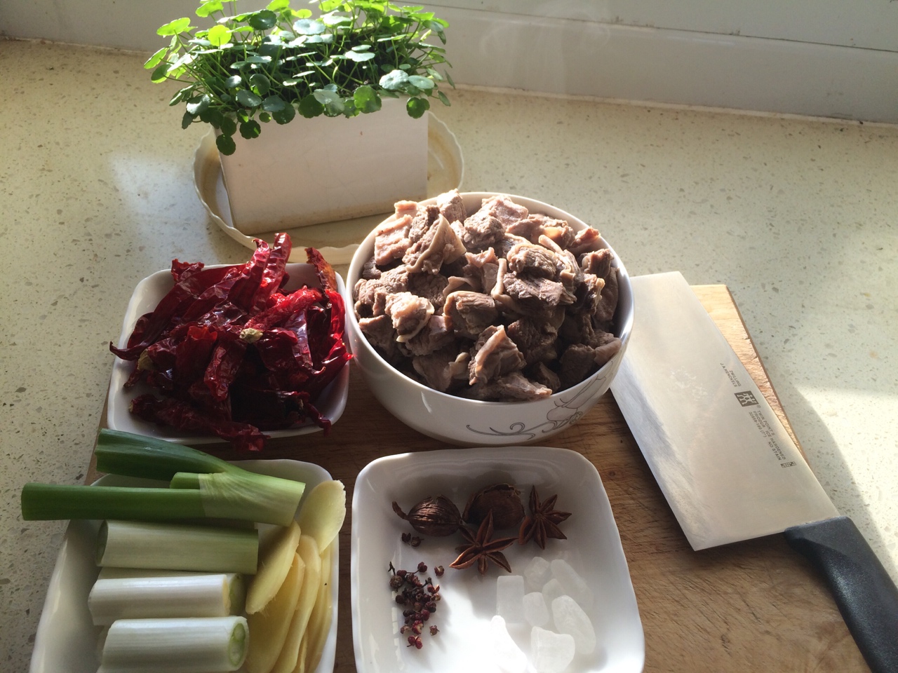 新疆风味的土豆烧牛肉的做法 步骤2