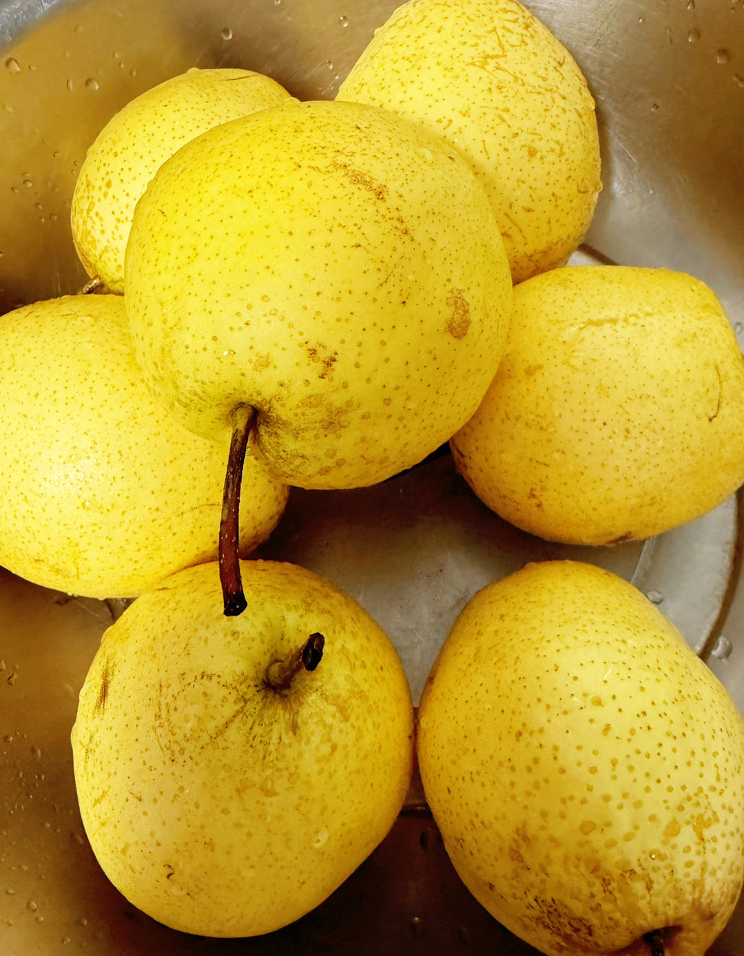 自制秋梨膏（川贝母粉）风热感冒VS风寒感冒