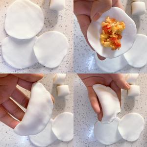 小陳水晶饺子🥟（西红柿鸡蛋饺）的做法 步骤5