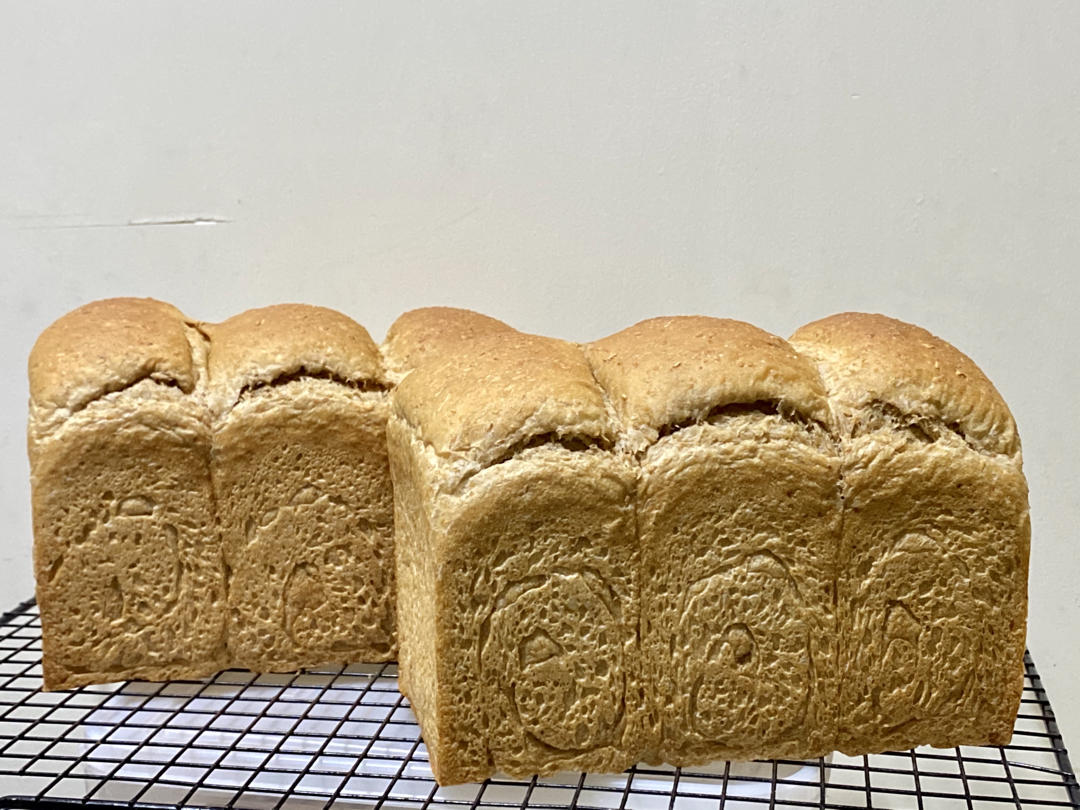 全麦吐司（50%全麦含量）低卡，低热量