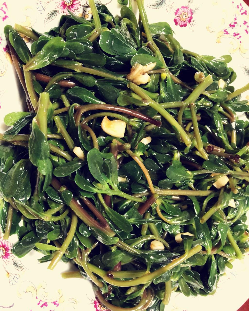 凉拌马马菜（凉拌马齿苋）