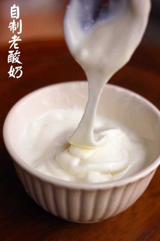 自制老酸奶