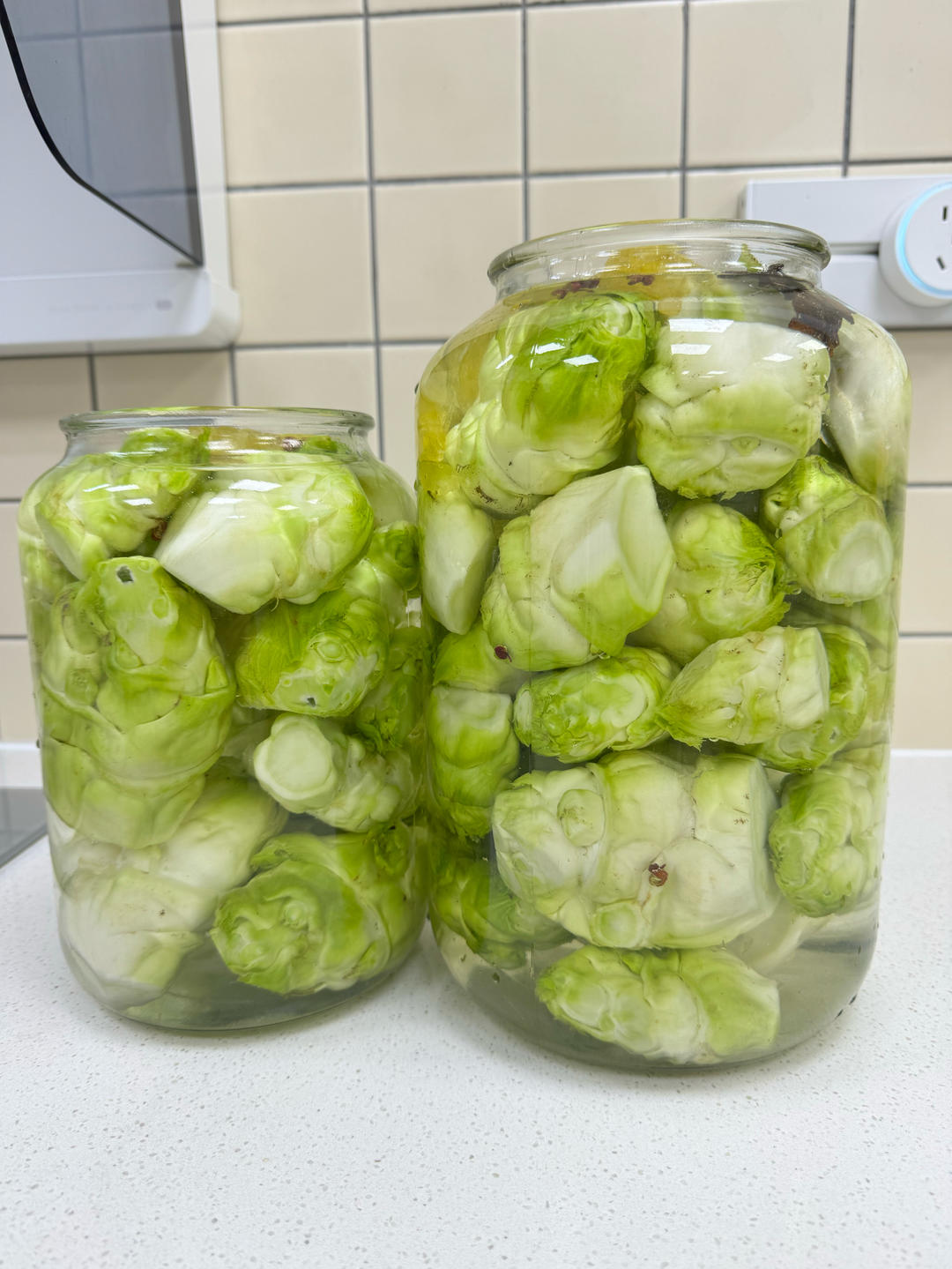 酸爽脆嫩！泡儿菜（快手懒人白醋版）