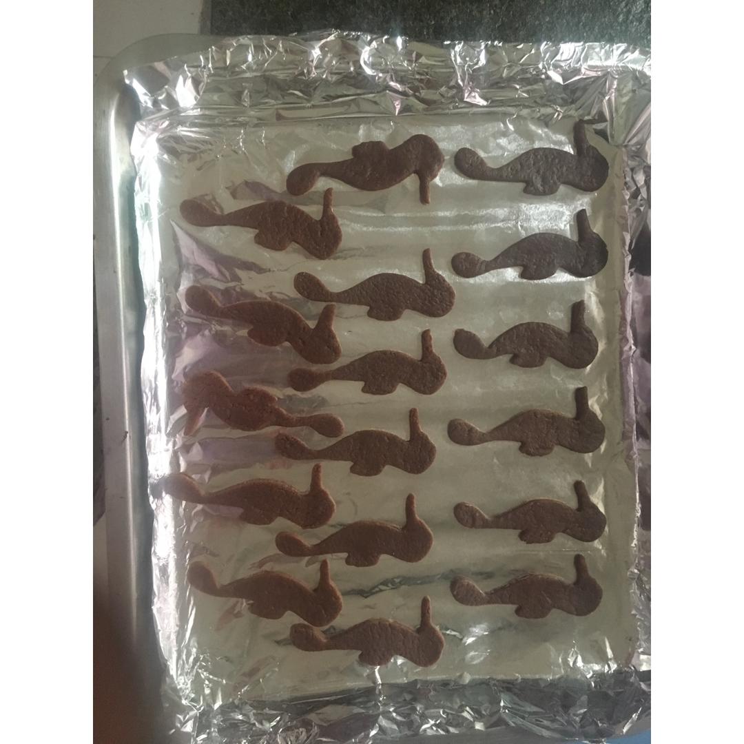 可可小饼干