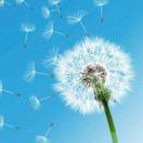 手机用户1764_l6n5