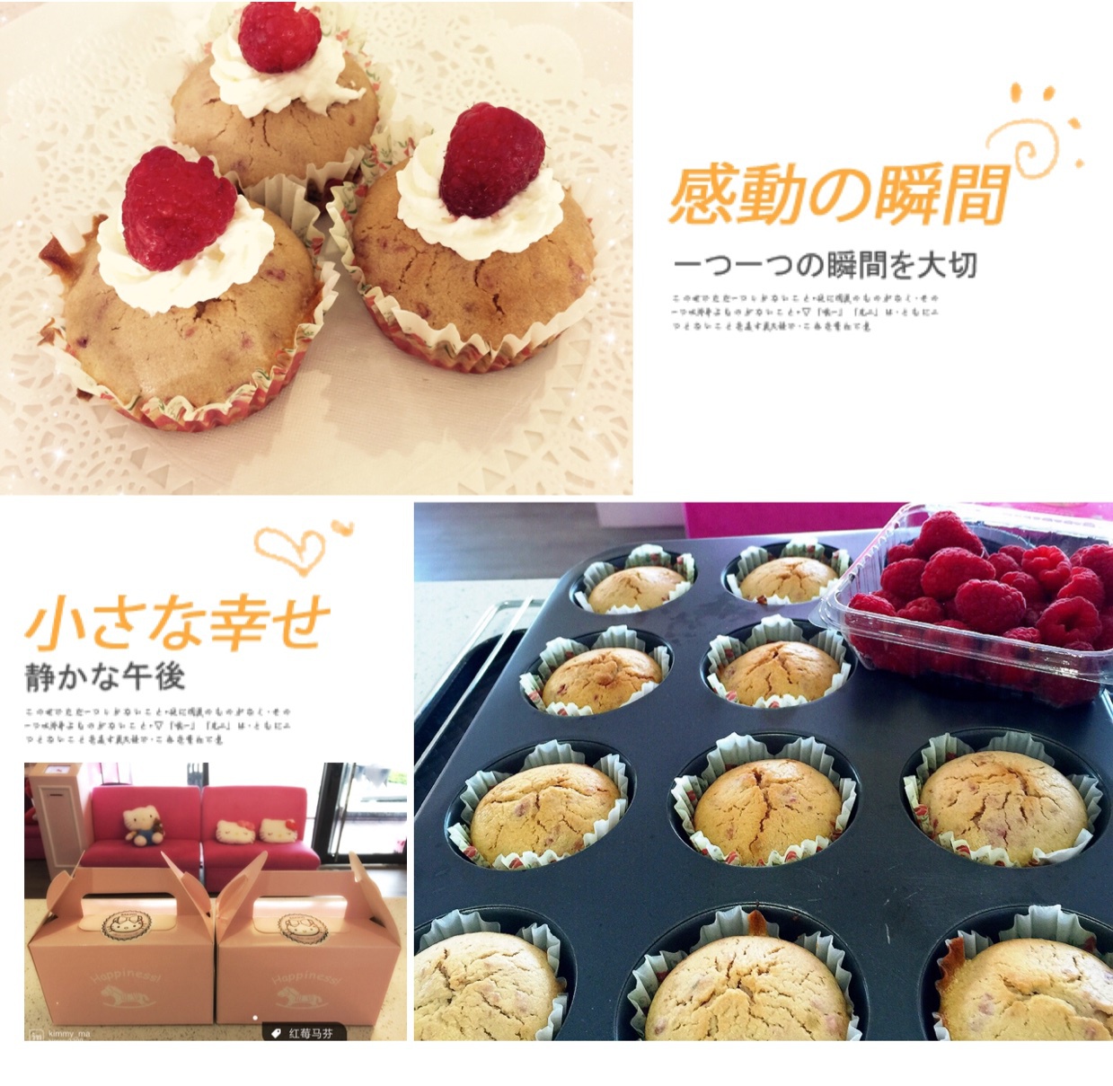 蓝莓玛芬蛋糕 Blueberry Muffin