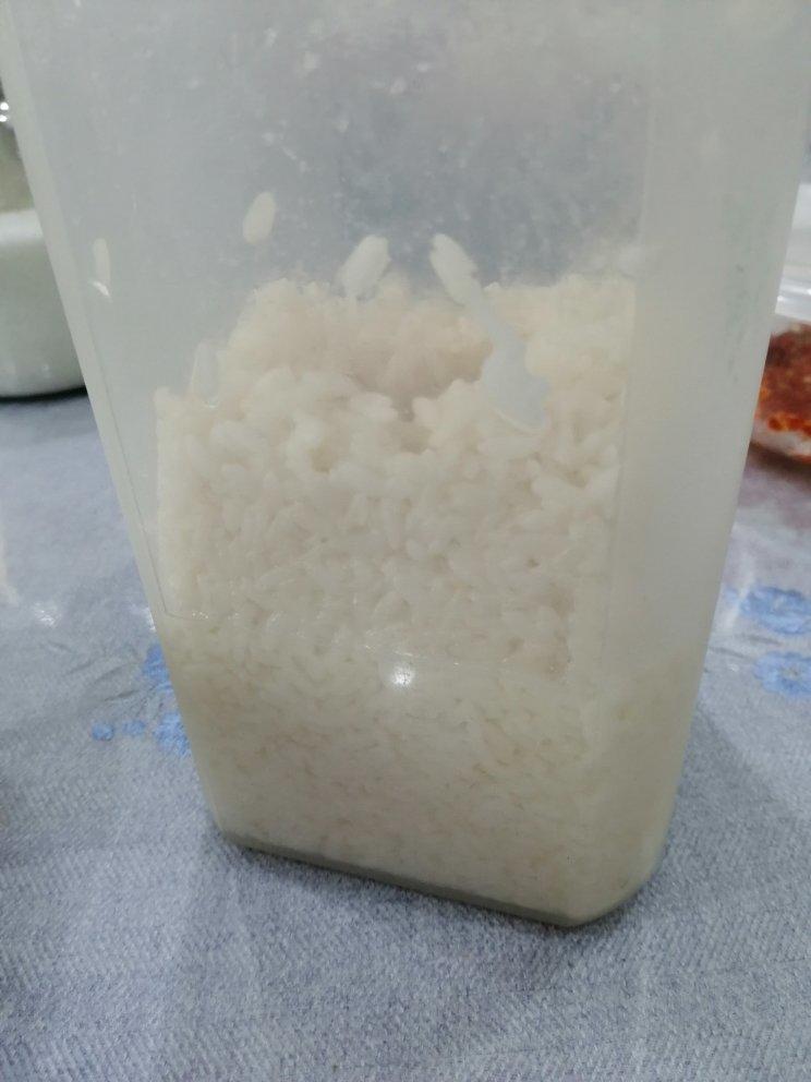 6分钟自制米酒【省事米酒最简易的打开方式】ヽ(•̀ω•́ )ゝ自制酒糟.醪糟.酒酿
