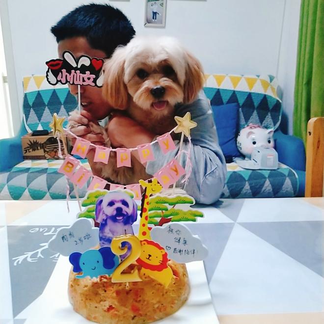 狗狗宝贝生日蛋糕的做法