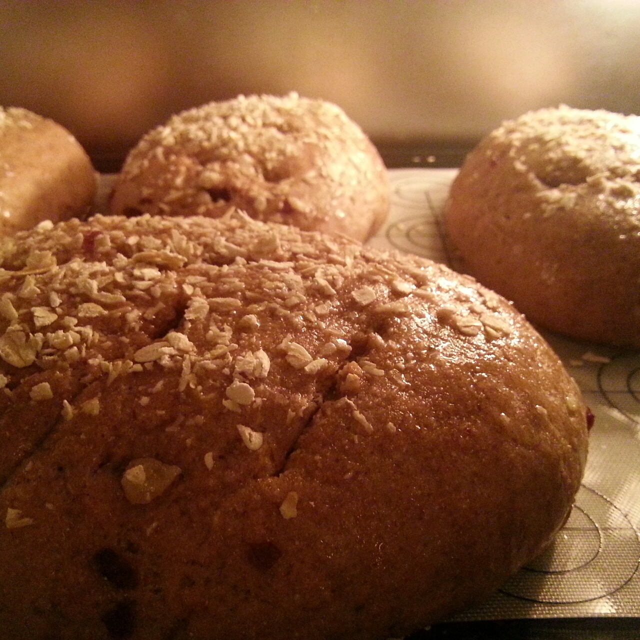 无油无糖全麦果干面包