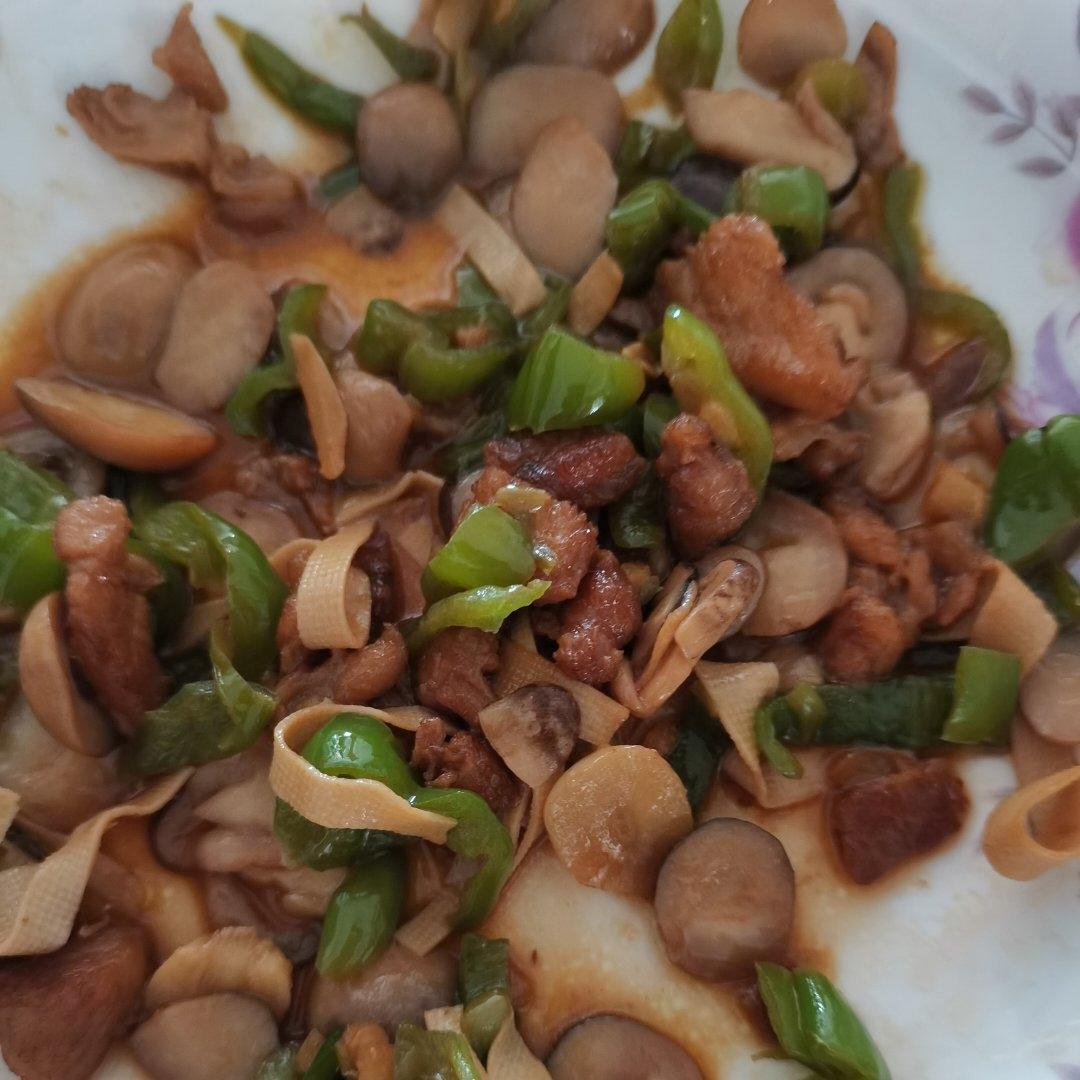 【快手菜】青椒百叶丝小炒