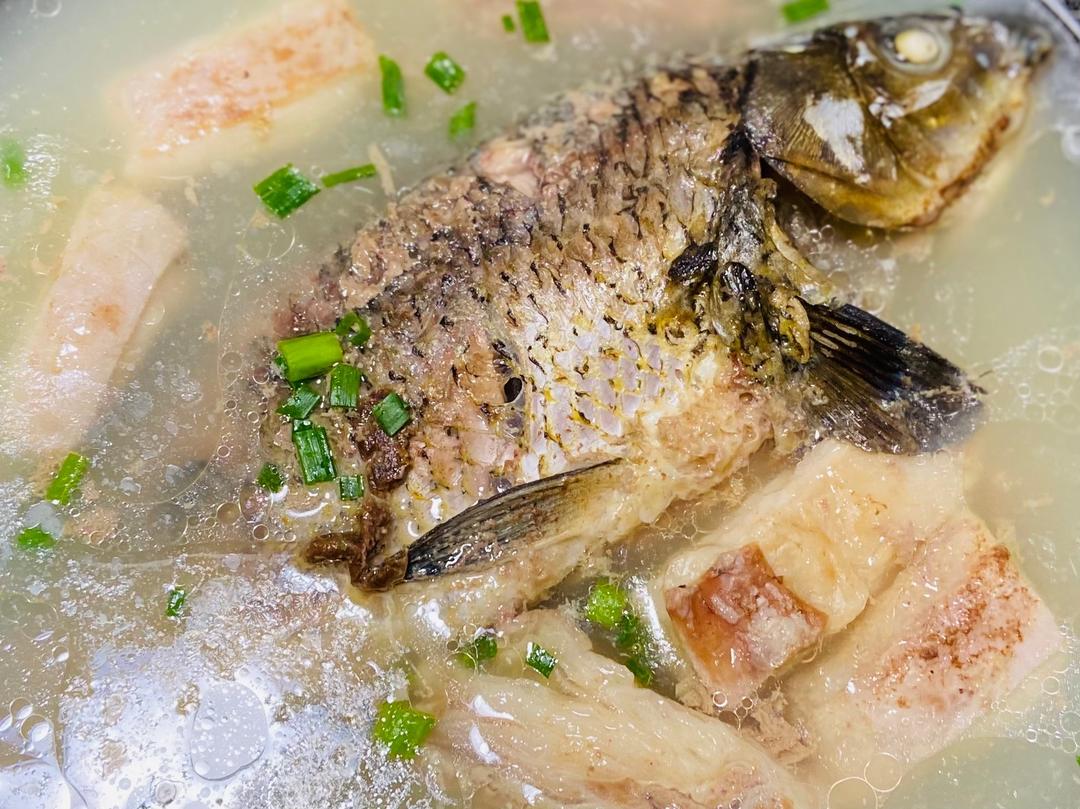 鱼羊鲜（鲫鱼羊肉汤）