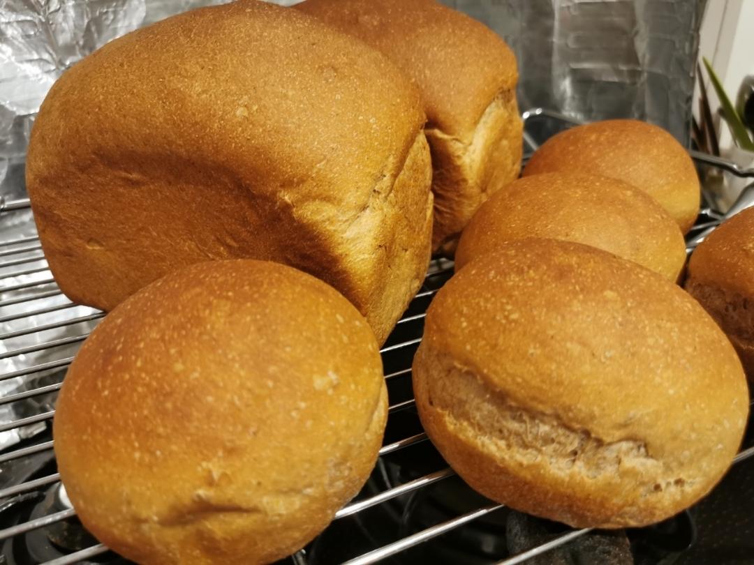 一次发酵不必手套膜的蘑菇头吐司