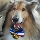 手机用户5365_wfcz