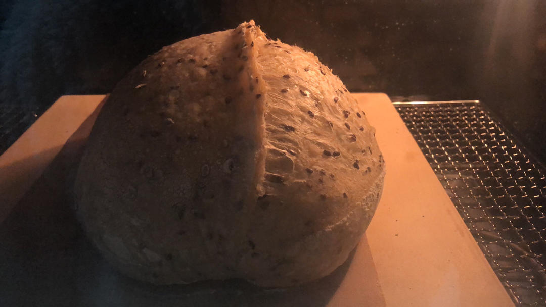 亚麻籽天堂