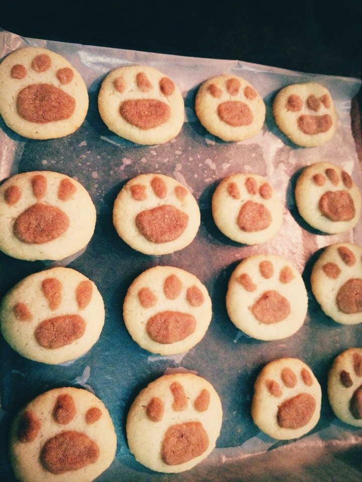 猫爪饼干
