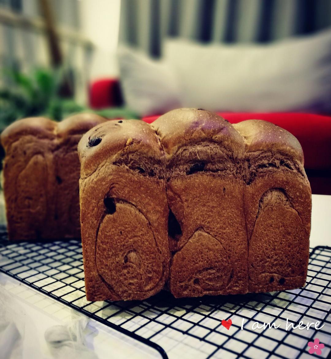 垚垚妈姆做的奶油巧克力吐司奶油巧克力吐司面包首页登录注册作品动态