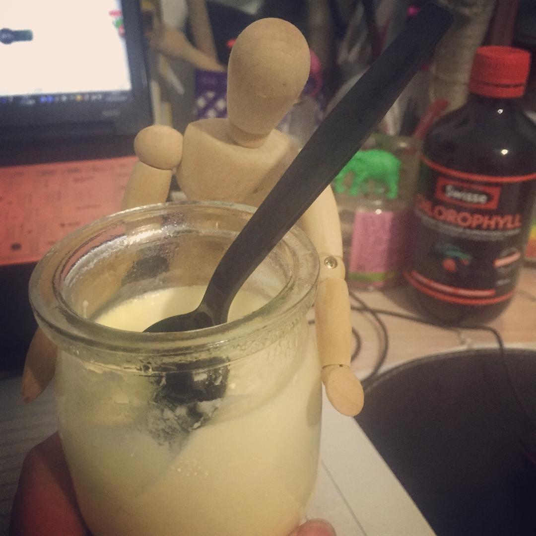 意式奶冻 panna cotta