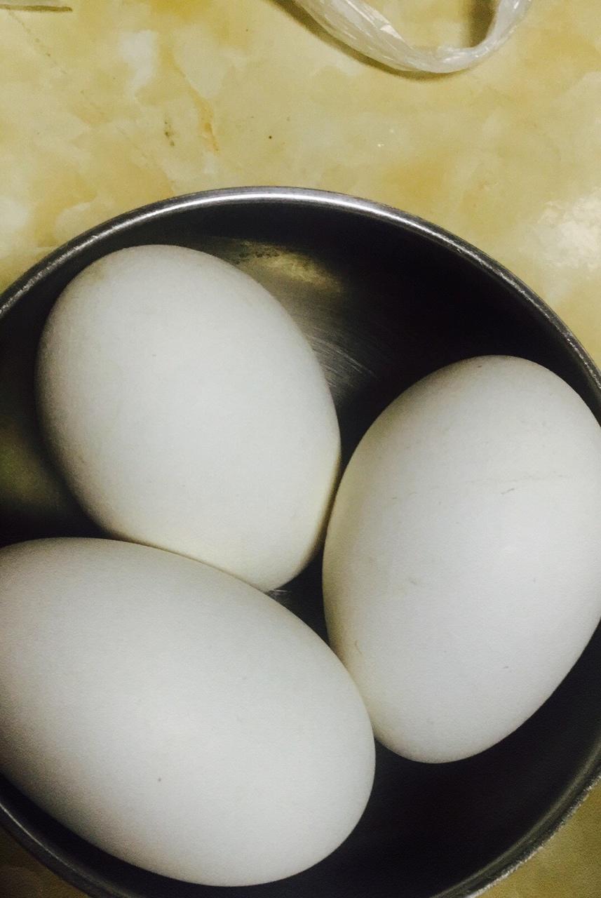 小熊熊-1做的清煮鹅蛋