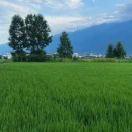 手机用户9299_vbcr