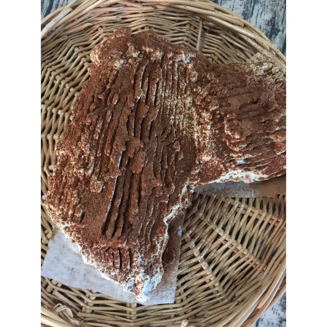 圣诞树根