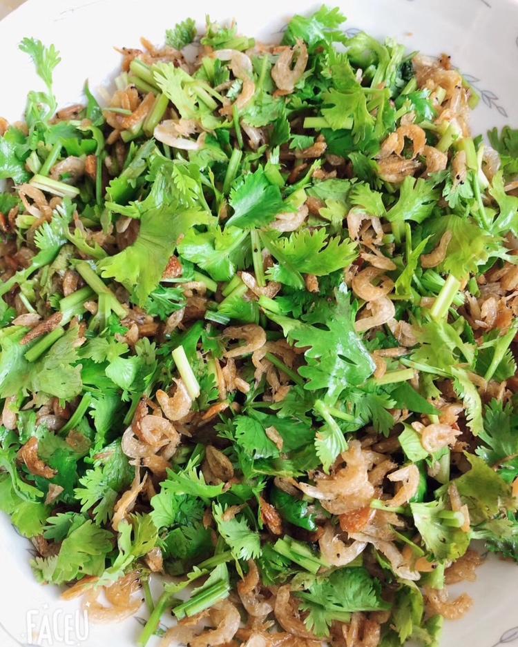 萌瓜灬做的0难度菜凉拌虾皮香菜