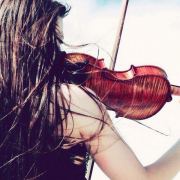 violapippo