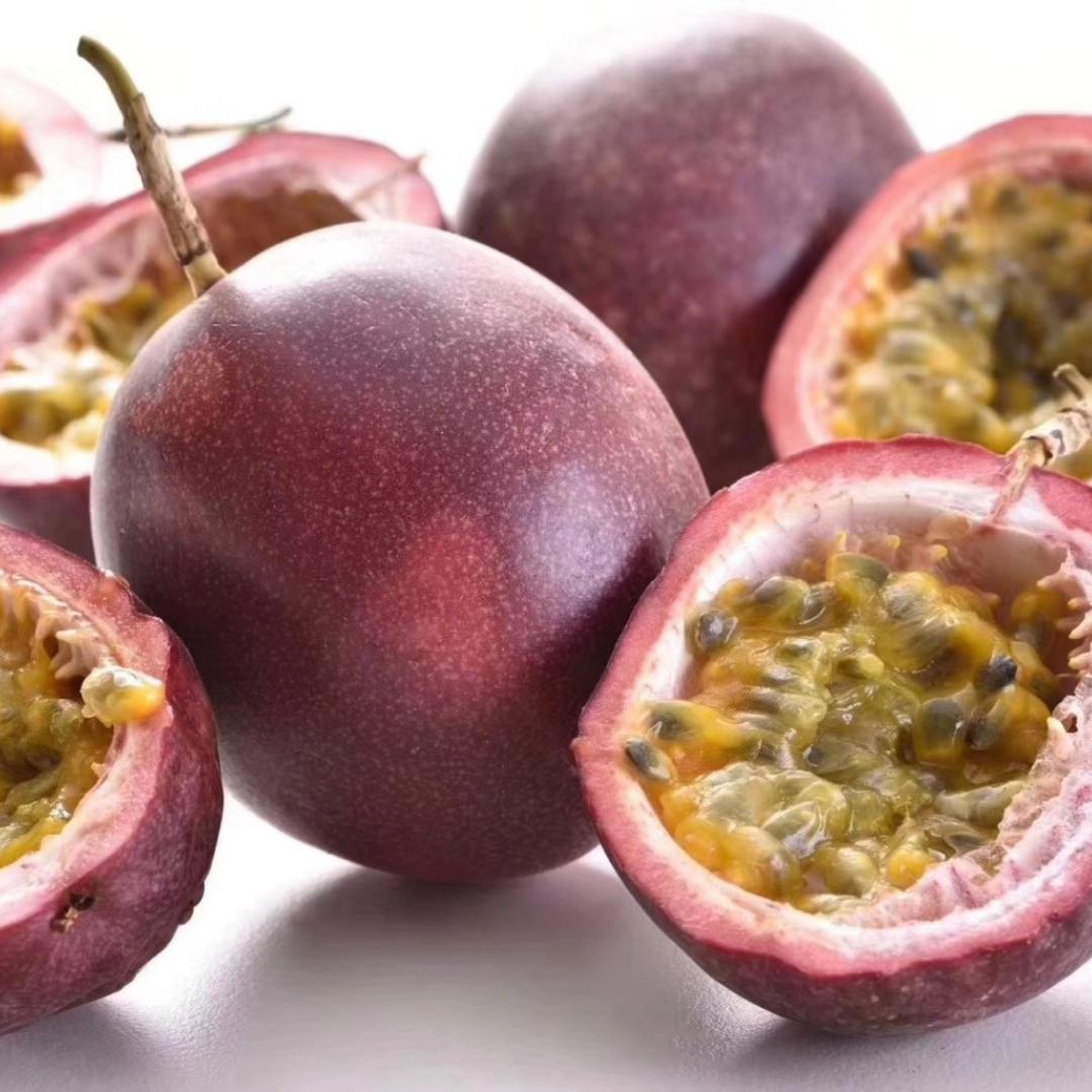 可爱的袋鼠妈妈