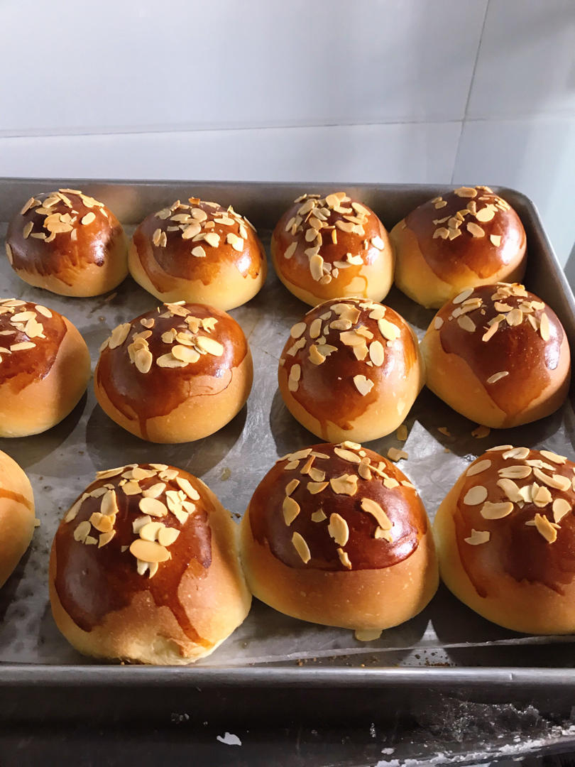 牛奶肉松小餐包（一次发酵）