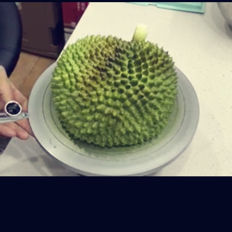 榴莲造型蛋糕