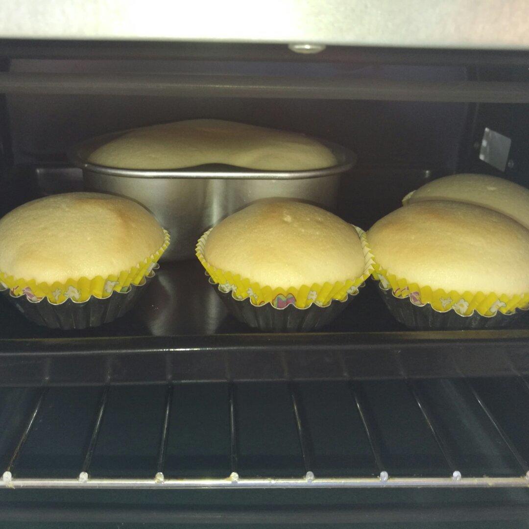 棉花纸杯蛋糕