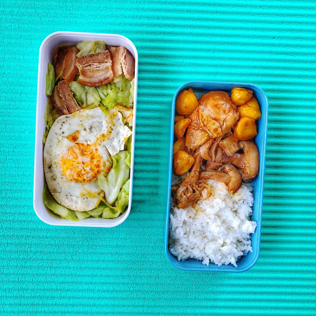 便当🍱日记