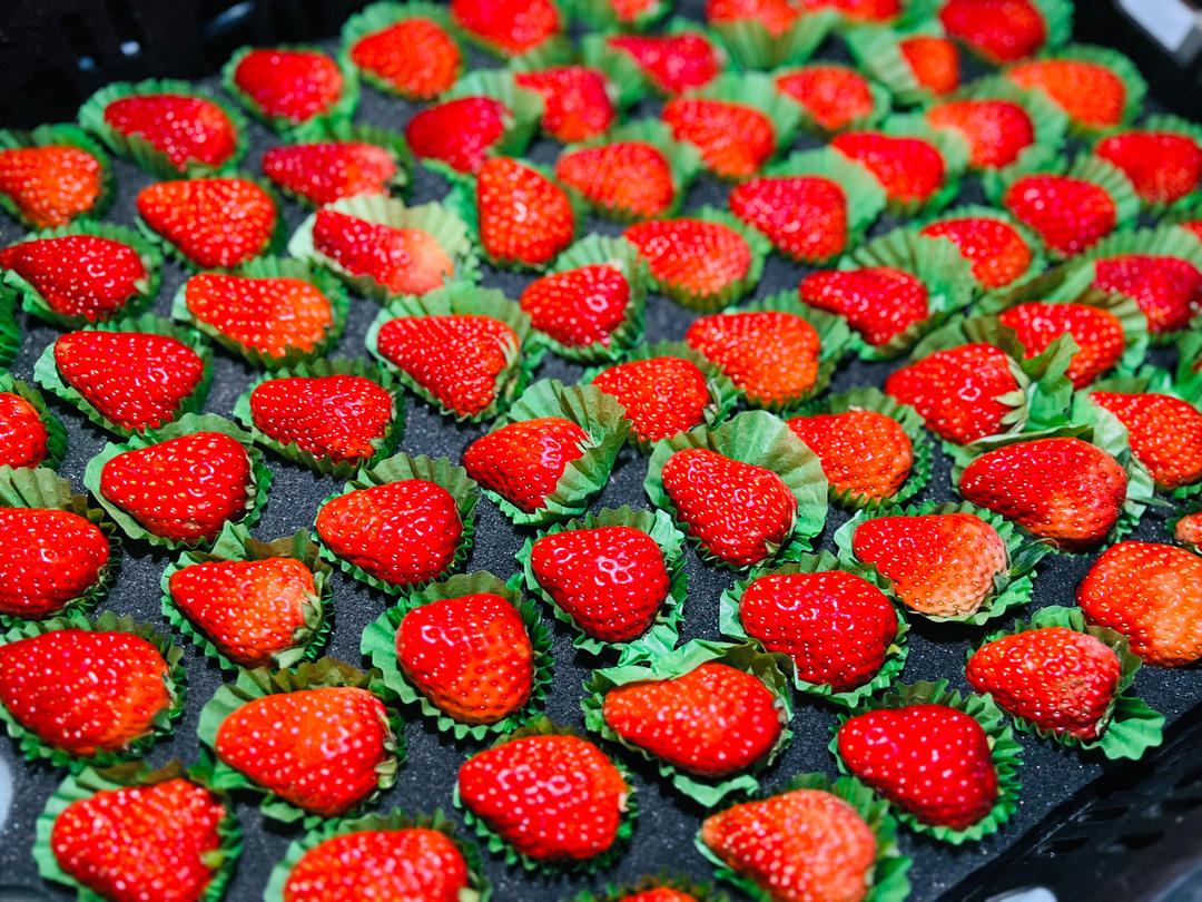 🍓自制草莓酱｜高颜值｜超美味｜多用途｜小孩超爱