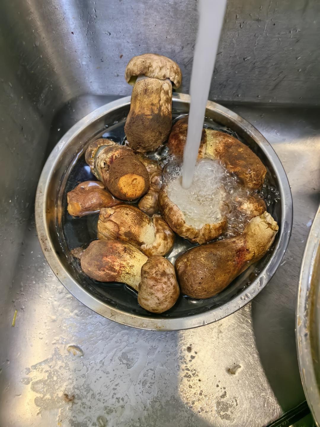 青椒牛肝菌（红见手青）