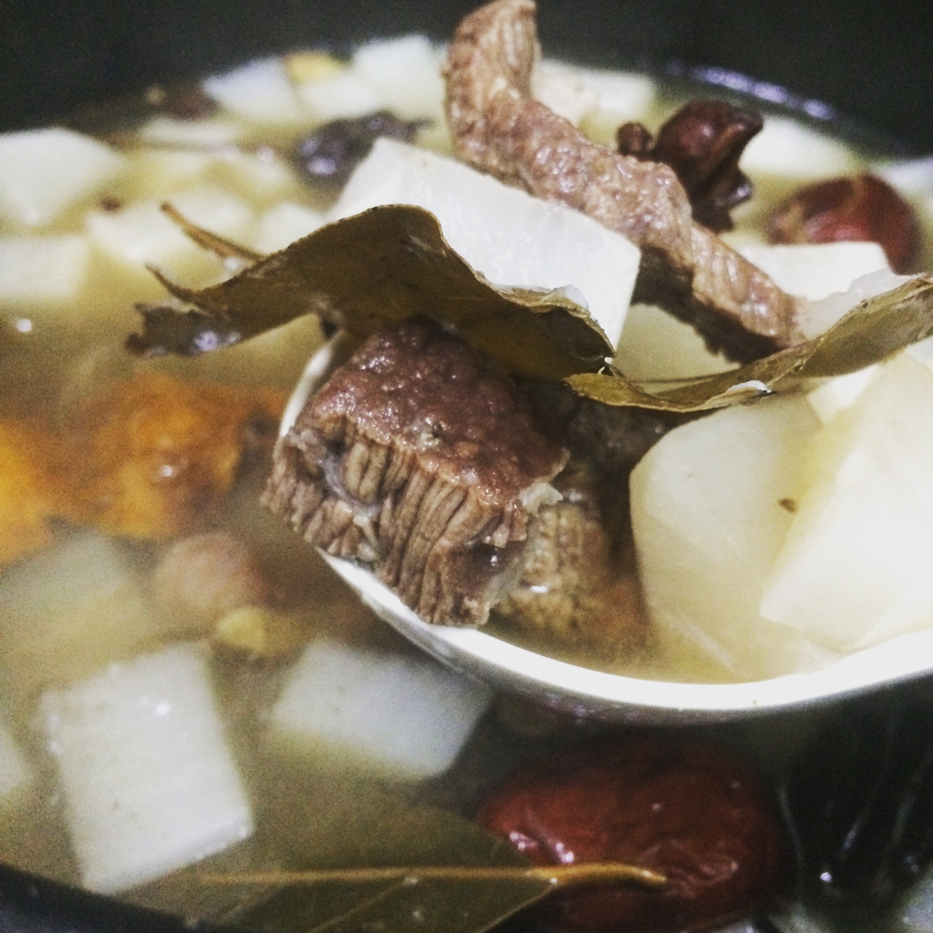 独家萝卜炖牛肉汤