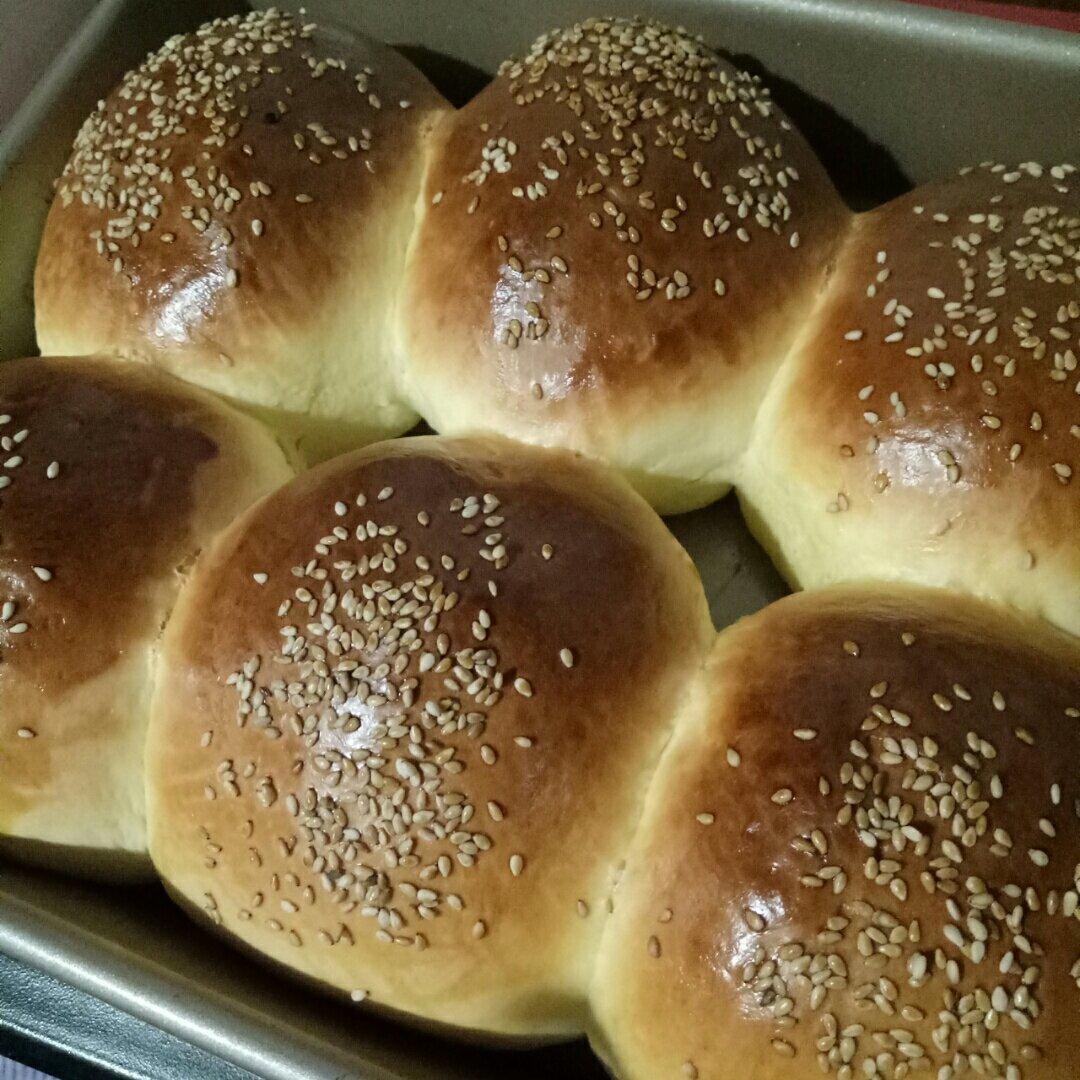 自制营养肉饼汉堡包