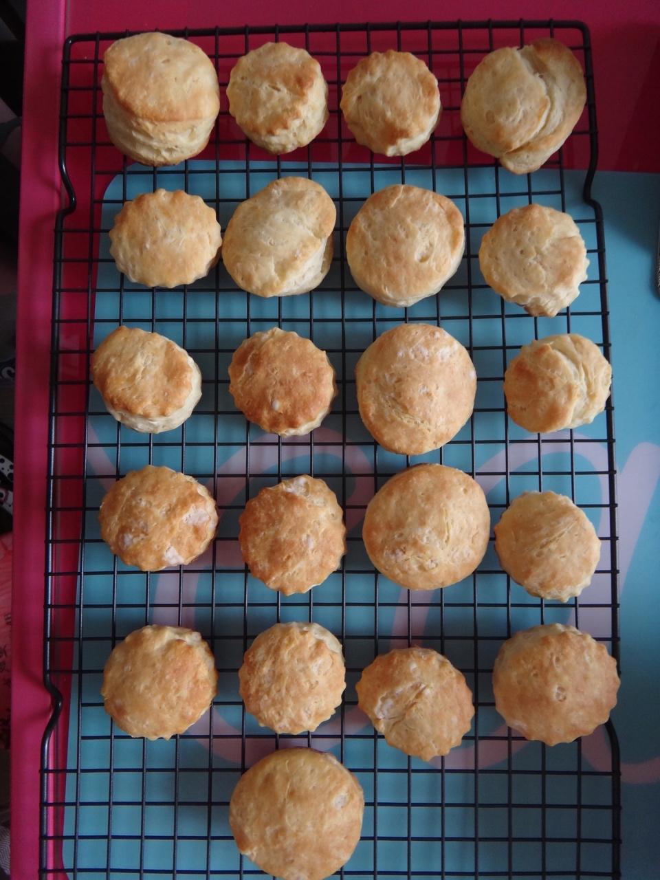 朴素的椰子油咸司康<Coconut Oil Biscuits>