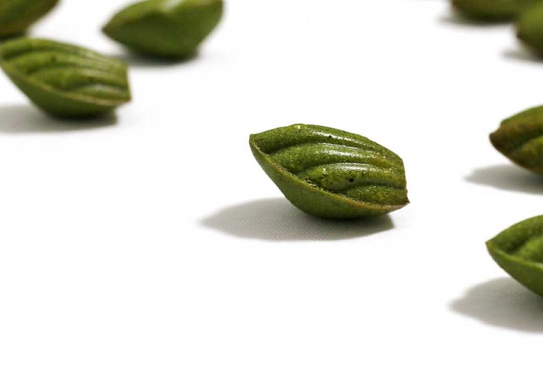 松仁玛德琳