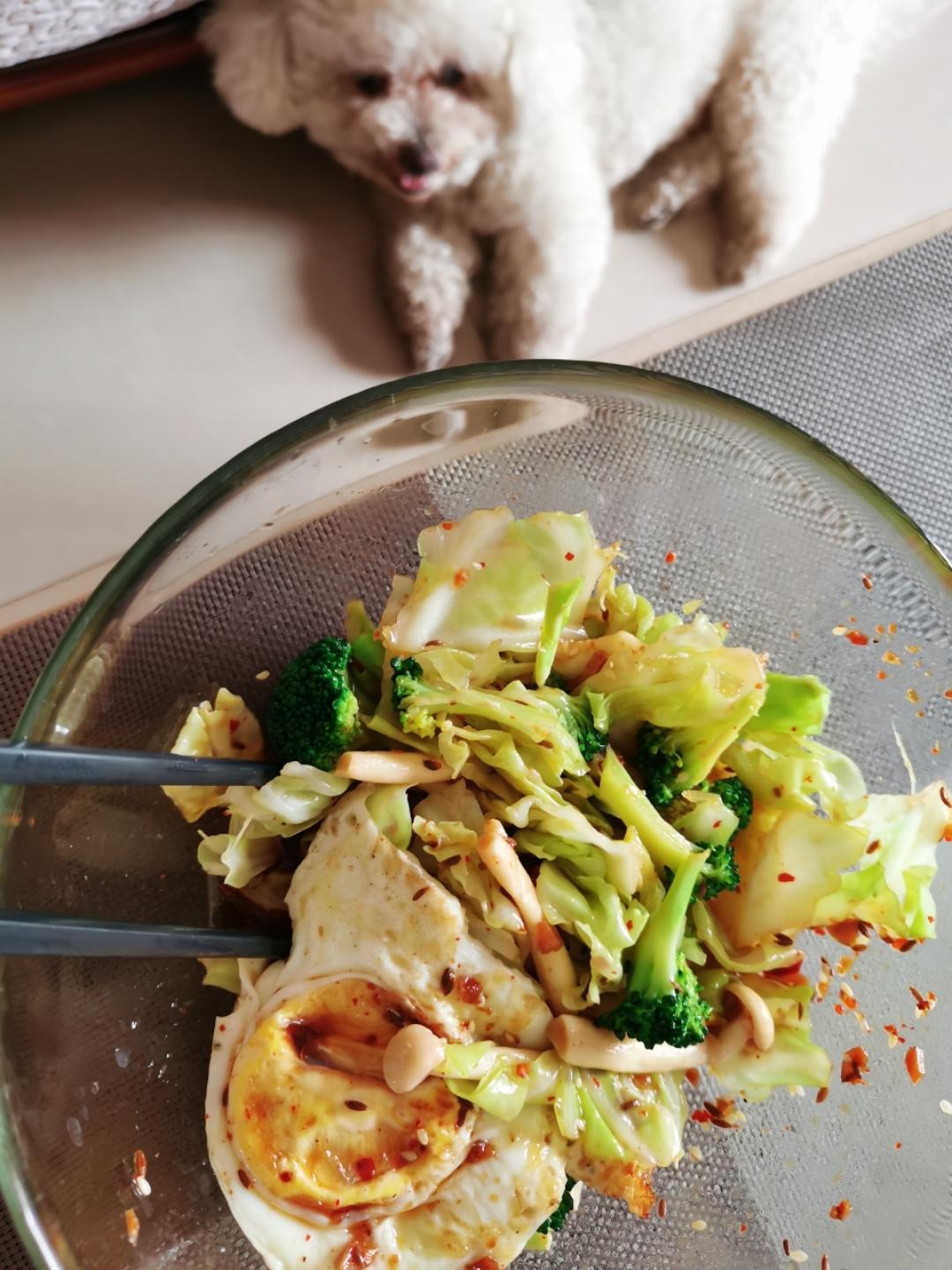 真的想把这个安利给所有减肥的姐妹