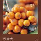 列支敦士登的咸鱼