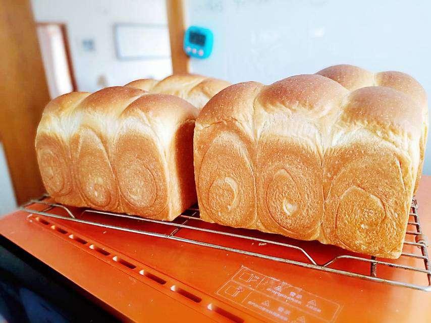 百分百中种北海道