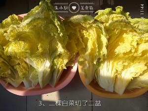 ❁韩国泡菜❁的做法 步骤9