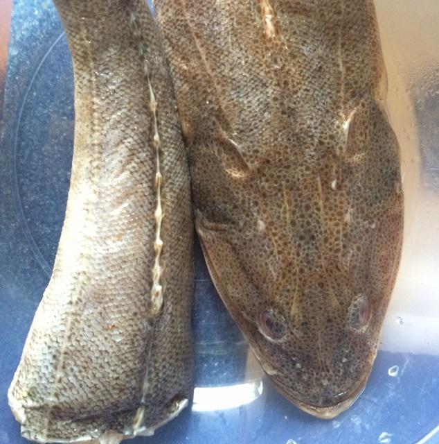 砂锅红烧大笨鱼