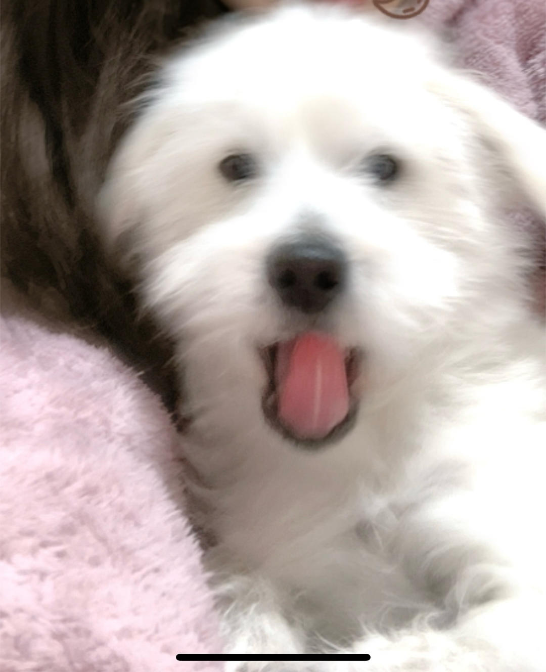 学厨小王