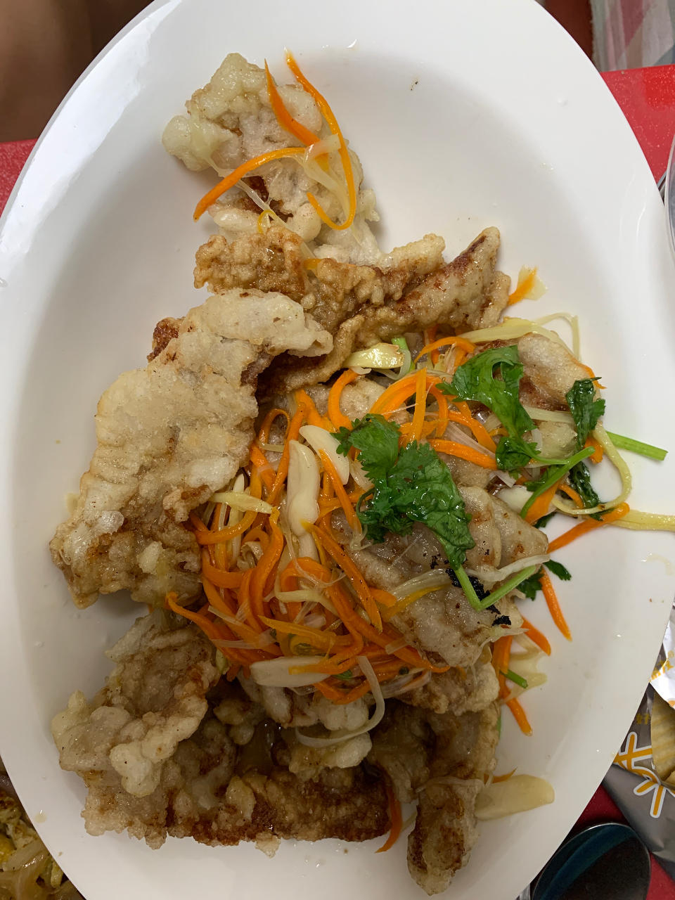 酸甜酥软的东北锅包肉