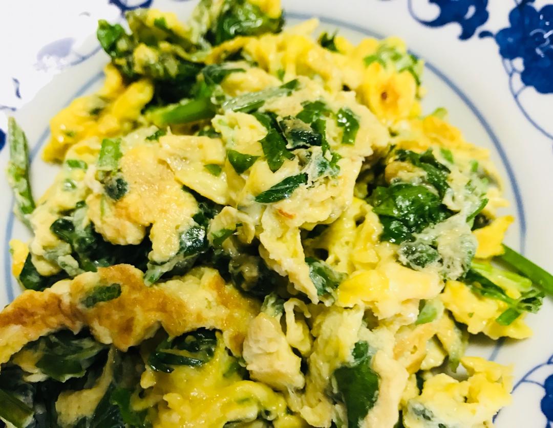 芹菜叶炒蛋